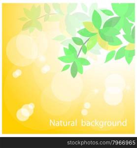 Leafes and colorful bokeh background. Vector illustration