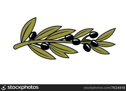 Leafy branch covered with ripe black olives, cartoon illustration isolated on white