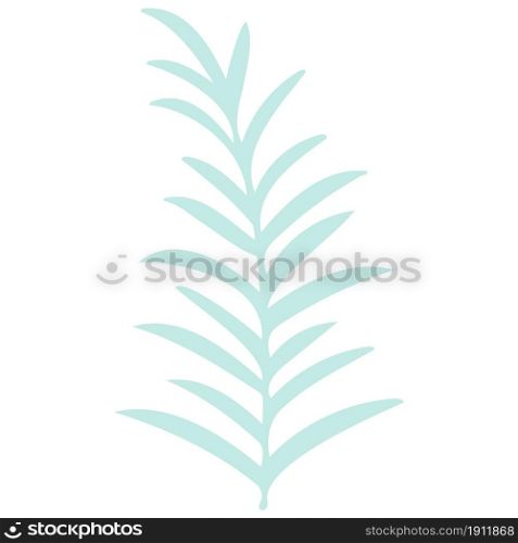 Leafy twig drawn isolated botanical element. Elongated sharp sheets on a branch, trendy greenery for decoration. Plant for product design, invitations and cards, vector illustration.. Leafy twig drawn isolated botanical element.