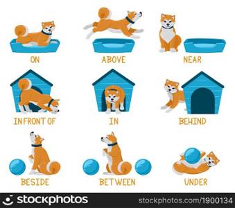 Learning english prepositions with cartoon puppy dog. Cute akita dog, behind, under, near dog bed or dog house illustration set. English prepositions learning. Education language english preposition. Learning english prepositions with cute cartoon puppy dog. Cute akita dog above, behind, under, near dog bed or dog house illustration set. English prepositions learning