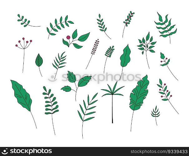 Leaves and berries isolated. Vector set of green plant decorative elements on white background. Simple hand drawn leaf objects.. Leaves and berries isolated. Vector set of green plant decorative elements on white background. Simple hand drawn leaf objects