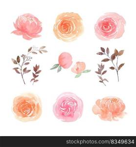 Leaves and floral watercolor elements set hand painted lush flowers, Illustration of  flower.