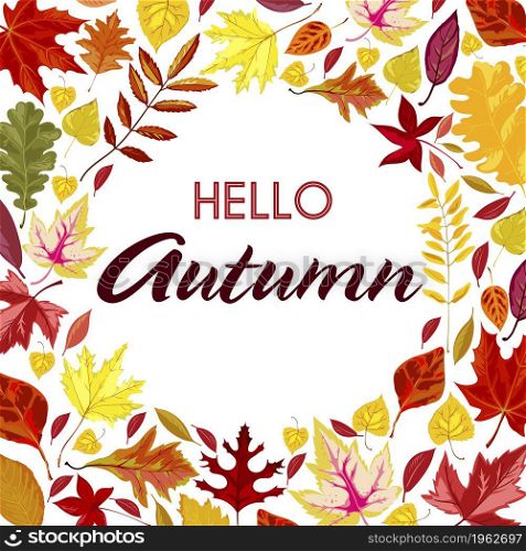 Leaves and foliage of trees, colored leafage on banner, hello autumn. Herbal composition, seasonal herbarium or botany on poster with calligraphic inscription. Vector in flat style illustration. Hello autumn, banner with dry colored foliage