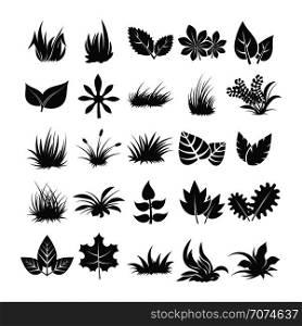 Leaves and grass silhouettes on white background. Black leaf plant monochrome, vector illustration. Leaves and grass silhouettes on white background