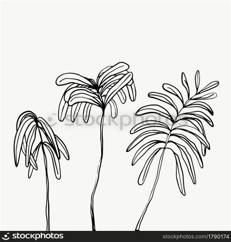 Leaves and tropical line foliage isolated on white background. vector design.
