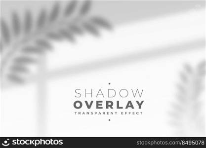 leaves and window pane shadow overlay effect