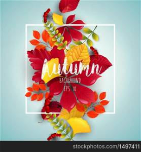 Leaves autumn background isolated blue background.Vector