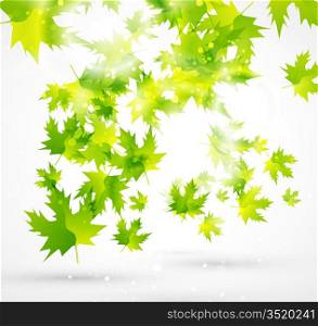 Leaves background