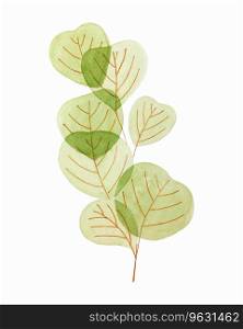 Leaves branch green watercolor hand drawn, isolated, white background.