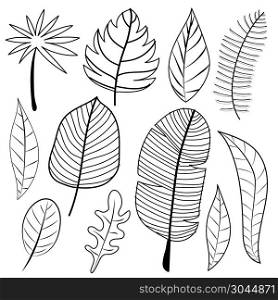 Leaves Doodle Vector Set. Vector Illustration.