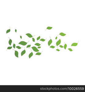 Leaves fall vector illustration design