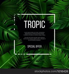 Leaves frame. Vector design template with nature green plants tropical picture with place for your text. Realistic exotic leaf green, jungle hawaii flora banner for sale illustration. Leaves frame. Vector design template with nature green plants tropical picture with place for your text