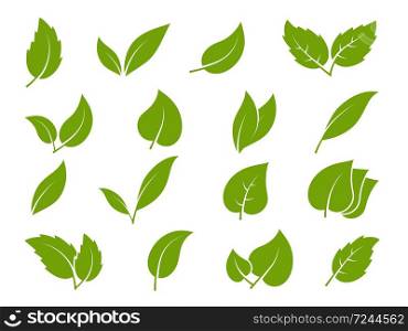 Leaves icons. Young green leaves trees and plants various elegance shapes, herbal tea leaf eco, bio organic foliage landscaping environment vector silhouette set. Leaves icons. Young green leaves trees and plants various shapes, herbal tea leaf eco, bio foliage landscaping environment vector set