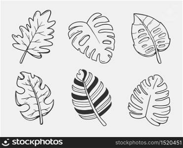 leaves illustration. set of vector leaves. hand drawn art. leaf skeleton.
