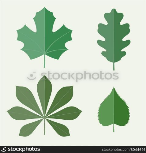 Leaves in flat style. Vector icons set