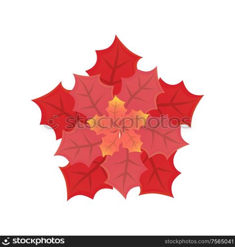 Leaves of different sizes and shades in flat style isolated on white. Illustration of red beautifully folded sheets vector, decoration for holiday. Leaves of Different Size and Red Shades Vector