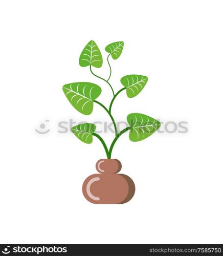 Leaves of plant in pot vector, isolated icon of houseplant with foliage. Growing botanical frondage with stable, potted decorative element, herbal nature. Flower Growing in Pot from Soil, Isolated Icon