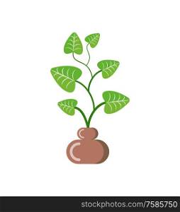 Leaves of plant in pot vector, isolated icon of houseplant with foliage. Growing botanical frondage with stable, potted decorative element, herbal nature. Flower Growing in Pot from Soil, Isolated Icon