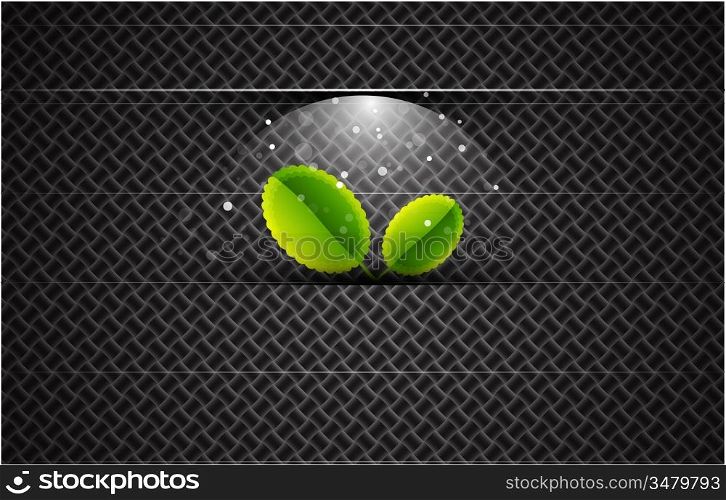 Leaves on carbon background