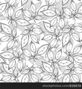 Leaves seamless pattern on white background. Engraving vintage style. Design for fabric, vintage packaging, wrapping paper. Vector illustration. Leaves seamless pattern on white background. Engraving vintage style.