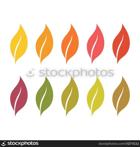 leaves set vector template icon
