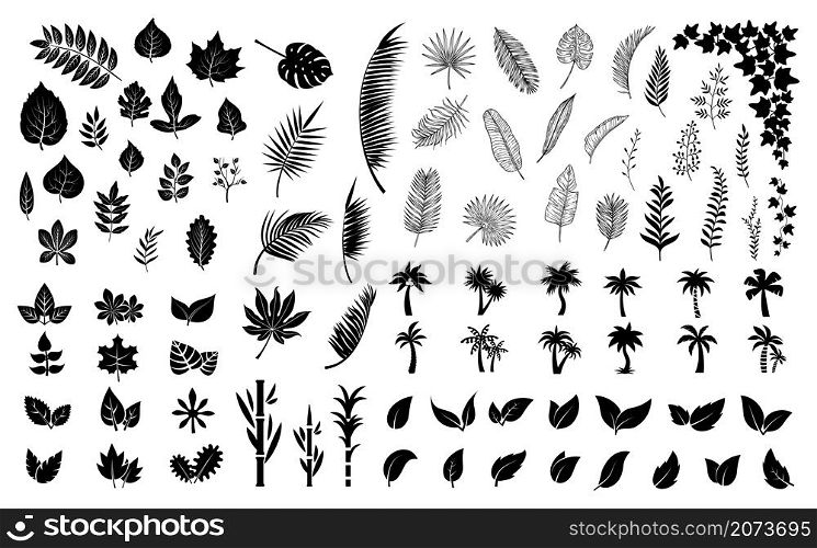 Leaves silhouettes. Black leaf, palm tree foliage. Isolated flat planting collection. Forest, exotic palms and vector bundle. Illustration leaf foliage, silhouette black jungle, flora branch paradise. Leaves silhouettes. Black leaf, palm tree foliage. Isolated flat planting collection. Forest, exotic palms and ivy vector bundle
