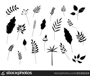 Leaves silhouettes isolated. Vector set of plant decorative elements on white background. Simple hand drawn black objects for floral designs.. Leaves silhouettes isolated. Vector set of plant decorative elements on white background. Simple hand drawn black objects for floral designs