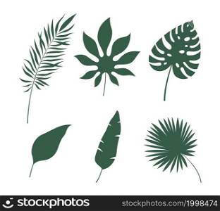 Leaves silhouettes tropical. Green jungle exotic leaf palm, monstera and banana. Botanical decor, summer nature design object, rainforest subtropical trees. Vector isolated on white background set. Leaves silhouettes tropical. Green jungle exotic leaf palm, monstera and banana. Botanical decor, summer nature design object, rainforest subtropical trees. Vector isolated set