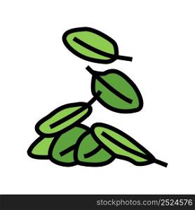 leaves spinach color icon vector. leaves spinach sign. isolated symbol illustration. leaves spinach color icon vector illustration