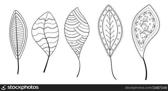 Leaves vector set in line art style. Ethnic tribal leaf in hand drawn style with boho ornament for wrapping paper, wallpaper, textile, logo, fabric, coloring page.. Leaves vector set in line art style. Ethnic tribal leaf in hand drawn style with boho ornament for wrapping paper, wallpaper