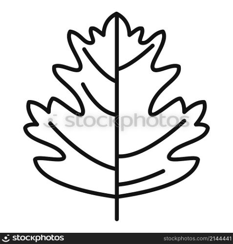 Leek parsley icon outline vector. Leaf herb. Garnish plant. Leek parsley icon outline vector. Leaf herb
