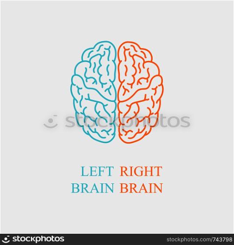 Left and right brain on gray background