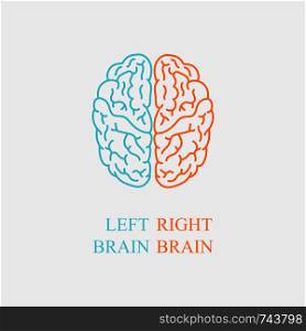 Left and right brain on gray background