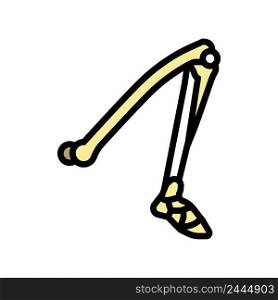 leg bone color icon vector. leg bone sign. isolated symbol illustration. leg bone color icon vector illustration