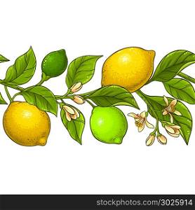 lemon branch vector pattern. lemon branch vector pattern on white background