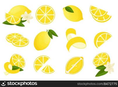 Lemon . Cartoon citrus peel slice half and , sour lemonade ingredients. Vector isolated set realistic citrus vitamins. Lemon . Cartoon citrus peel slice half and zest, sour lemonade ingredients. Vector isolated set