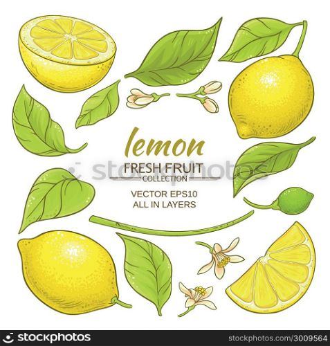 lemon elements set. lemon plant elements set on white background