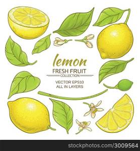 lemon elements set. lemon plant elements set on white background