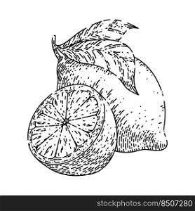 lemon fruit cut hand drawn vector. citrus slice, fresh yellow food, green leaf lemon fruit cut sketch. isolated black illustration. lemon fruit cut sketch hand drawn vector