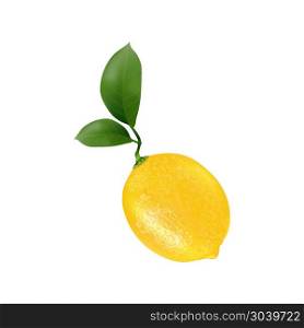 Lemon fruit for fresh juice. 3d realistic yellow ripe lemon wit. Lemon fruit for fresh juice. 3d realistic yellow ripe lemon with green leaves isolated on white background for packaging or web design. Vector EPS 10.