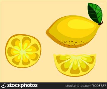 Lemon fruit half and slice. Vector Illustration