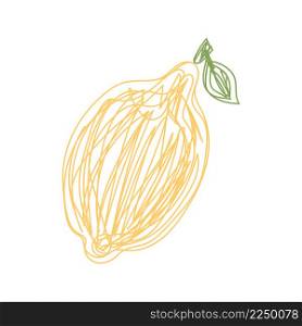 Lemon fruit. Hand drawn vector illustration. Pen or marker doodle sketch