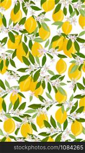 Lemon fruits seamless pattern with flowers and leaves on white background. citrus fruits vector illustration.
