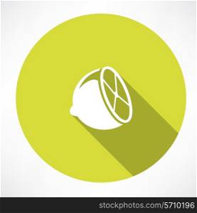 Lemon icon. Flat modern style vector illustration