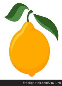 Lemon, illustration, vector on white background.