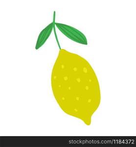 Lemon in doodle style isolated on white background. Hand drawn fresh organic citrus. Summer fruit vector illustration. Lemon in doodle style isolated on white background. Hand drawn fresh organic citrus.