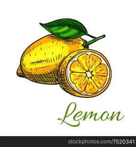 Lemon. Isolated citrus fruit whole and half slice with leaf. Lemon product emblem for juice or jam label, packaging sticker, grocery shop tag, farm store. Lemon fruit vector sketch icon