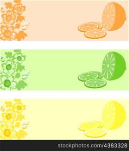 Lemon. Lemon in three colour variations. A vector illustration