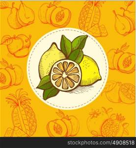 Lemon, lime. Fruit. Vector illustration. The fruit is hand-drawn. Hand drawn vector illustration.