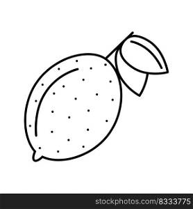 Lemon line icon. Contour image of citrus fruit isolated vector illustratio. Food element for web design. Lemon line icon